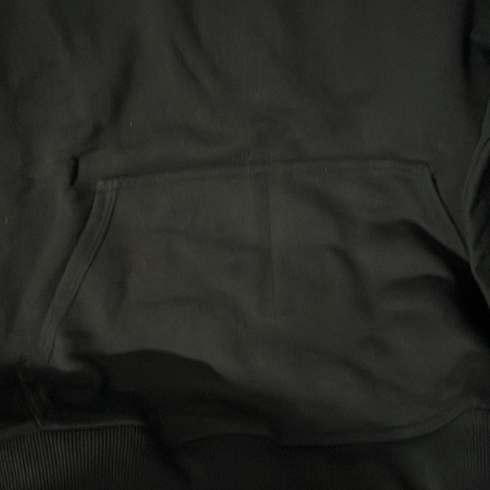 Champion - Picture 3 of 6